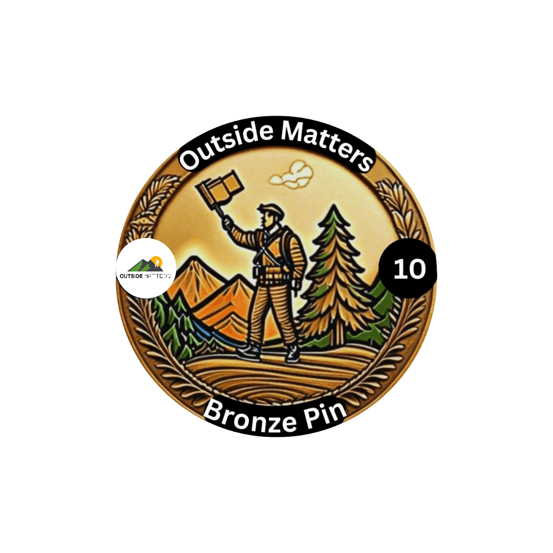 Bronze Pin